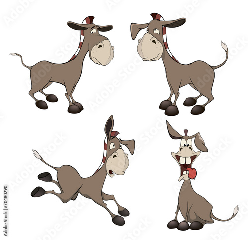 set of burros cartoon