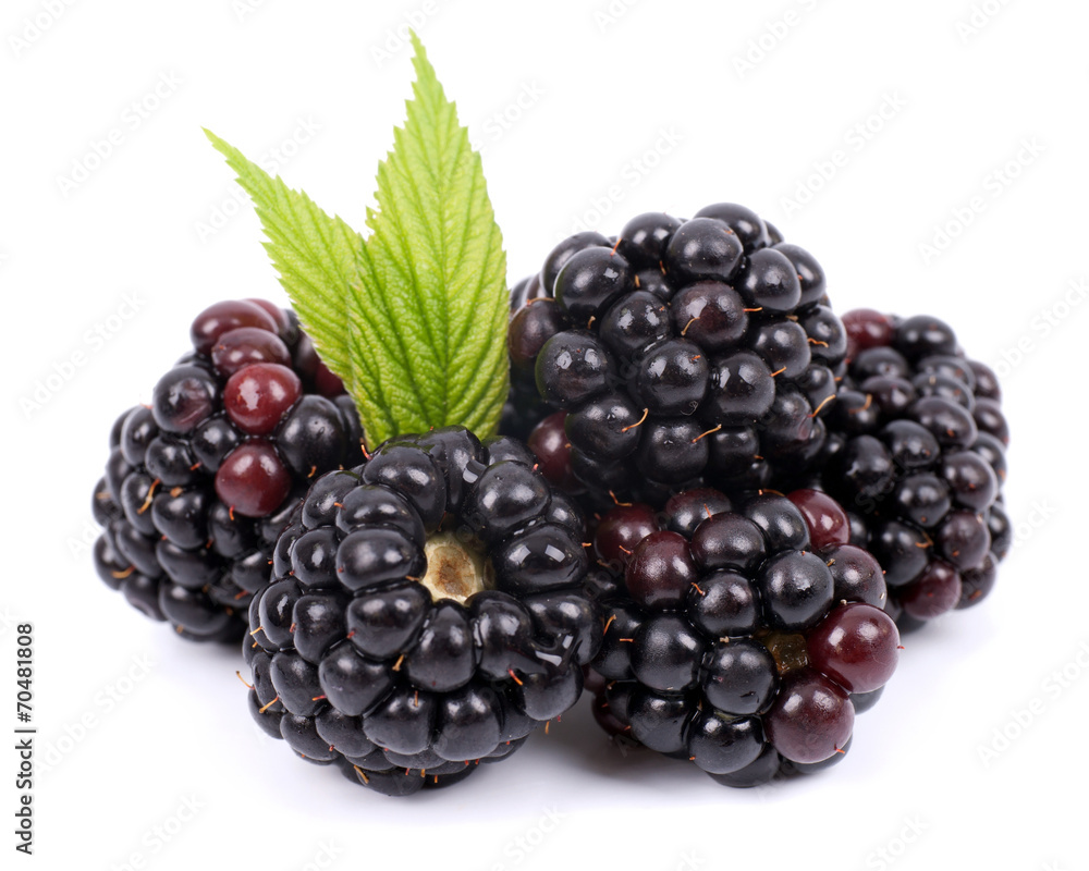 Fresh blackberries Fresh blackberries