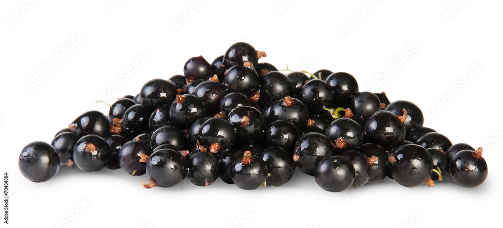 Fresh Black Currant Fresh Black Currant