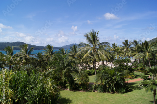 Australien, Queensland - Hamilton Island, Sommer, Palmen, Sonne