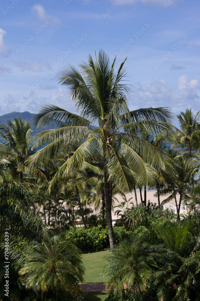 Australien, Queensland - Hamilton Island, Impressionen. Australien, Queensland - Hamilton Island, Impressionen.