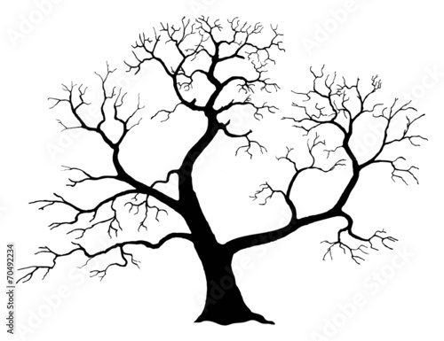 Tree silhouette