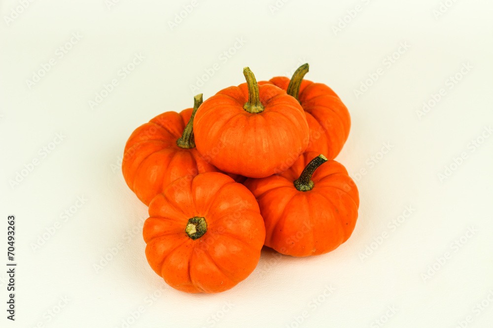 Obraz premium Seasonal Mini Pumpkins