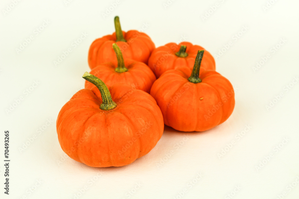 Seasonal Mini Pumpkins Seasonal Mini Pumpkins