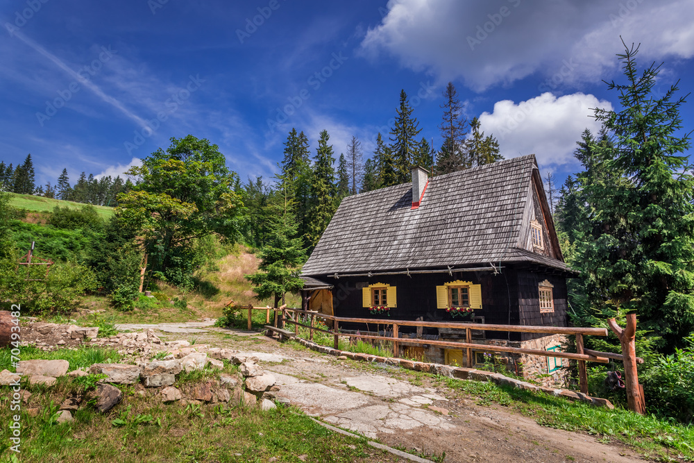 Small wooden house in the mountains in summer