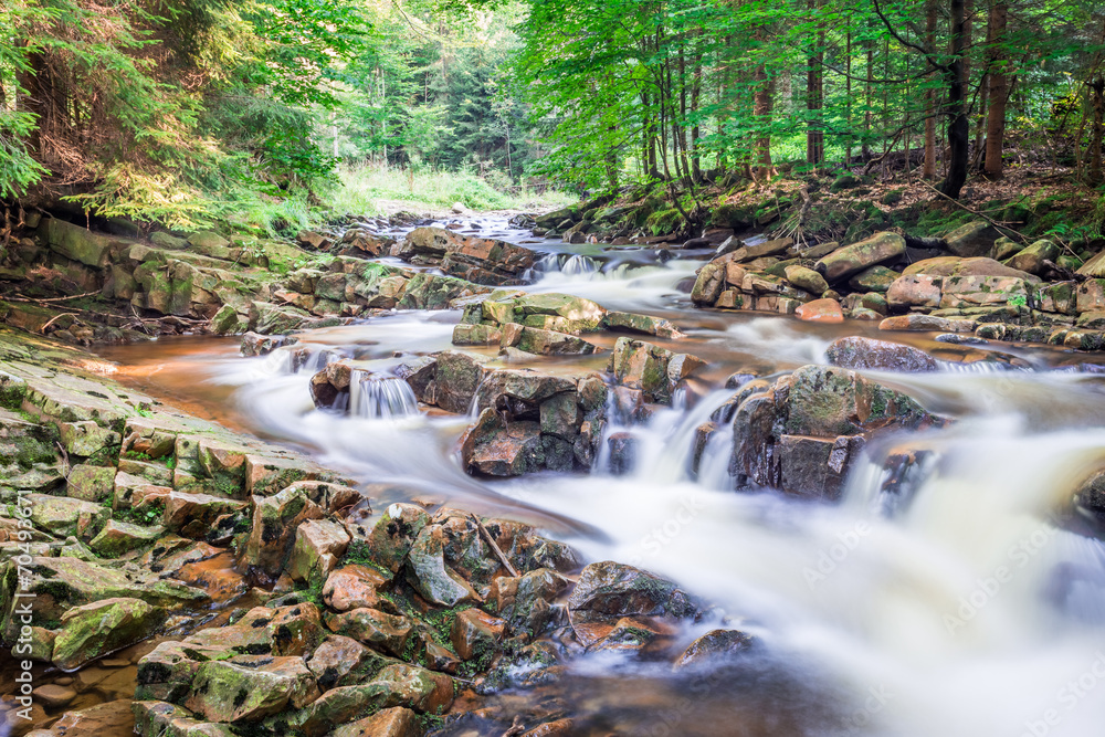 Mountain stream with views of the forest Mountain stream with views of the forest