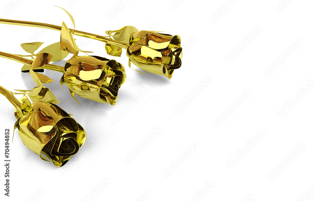 golden roses isolated on white background golden roses isolated on white background