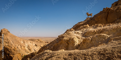 Tableau sur toile Chebika Statue