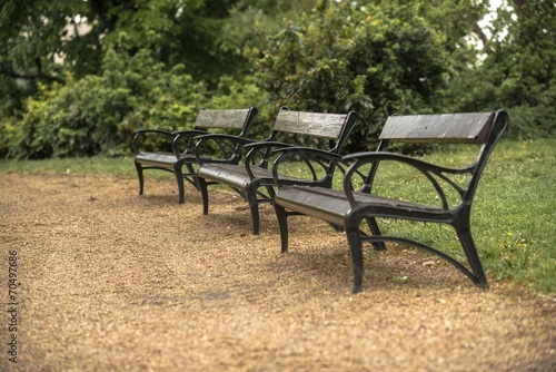 Stylish bench in autumn park © Sved Oliver