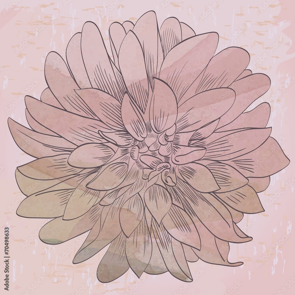 flower flower