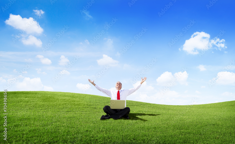 Businessman Celebrating Success in an Open Field Businessman Celebrating Success in an Open Field