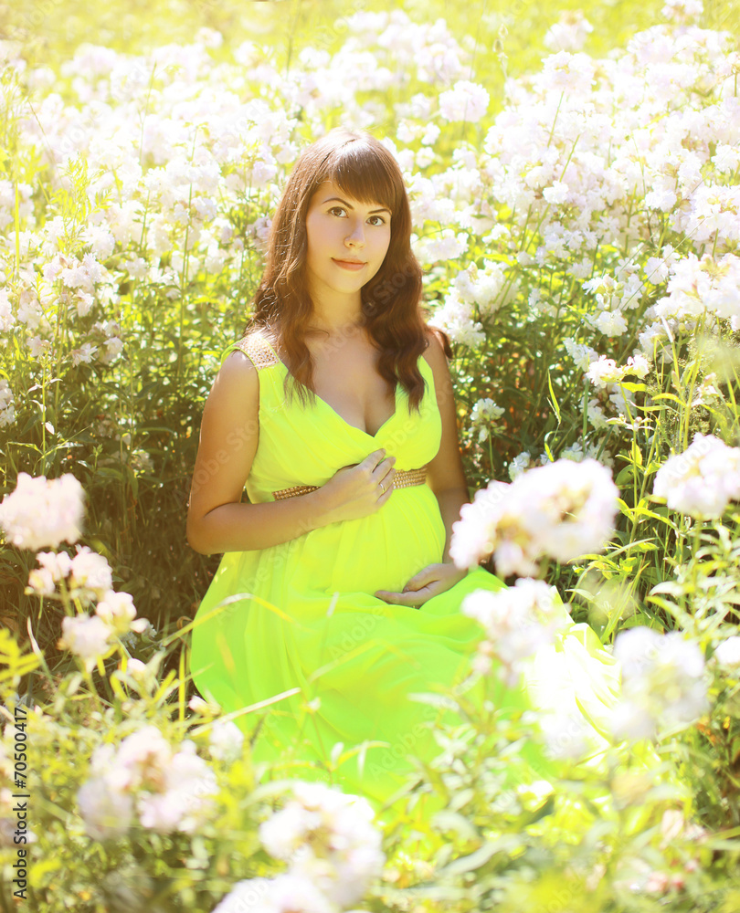 Pregnant lovely woman in flowers in summer sunny day Pregnant lovely woman in flowers in summer sunny day