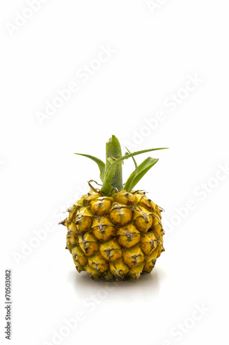 Sweet Pineapple fruit.