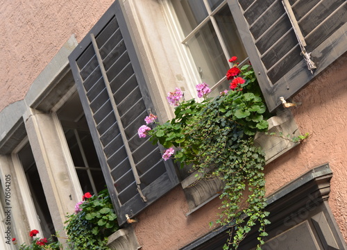 façade d'immeuble fleurie