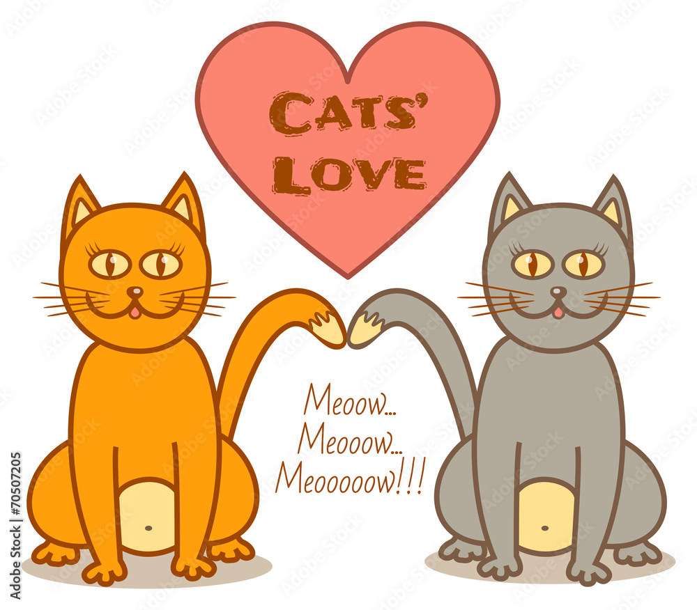 Obraz premium cats love