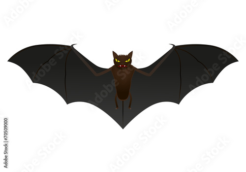 Bat isolated on white background, vector