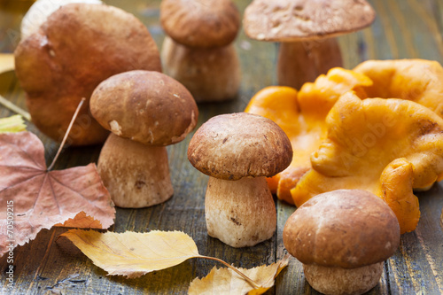 Edible mushrooms, boletus and chanterelles