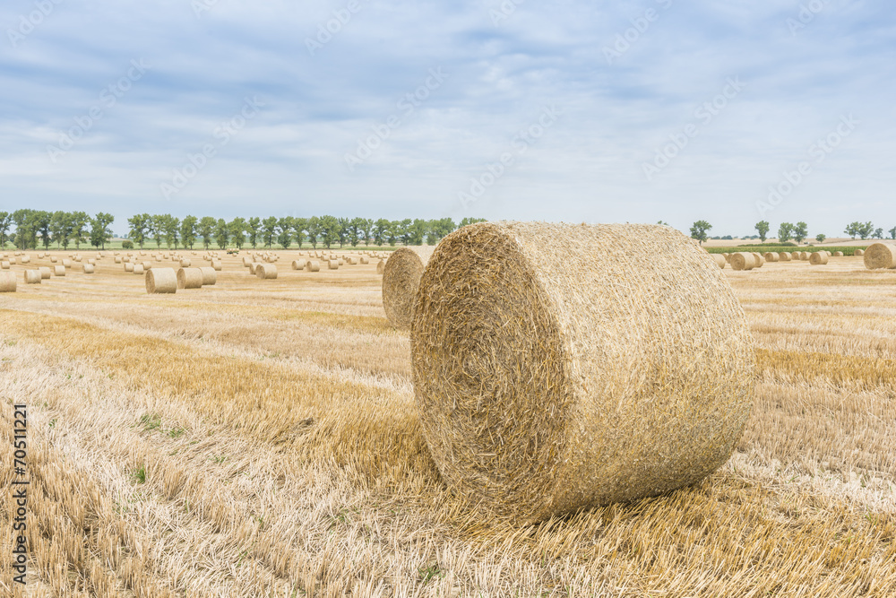 Big straw bale on field in summer-horizontal.