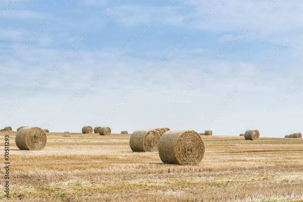 Straw bales on field in summer-horizontal.