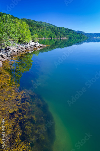 Beautiful Norwegian fjord coast in summer season