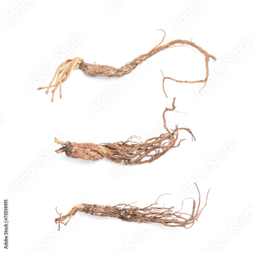 Dried ginseng on white background.