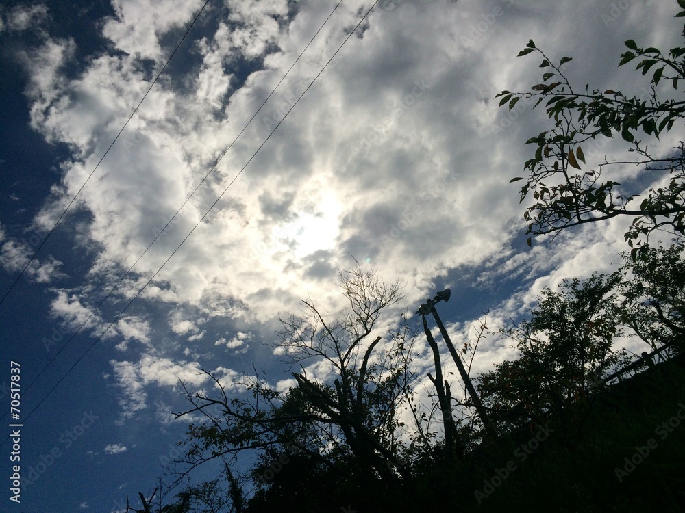 Fototapeta premium 夏の影