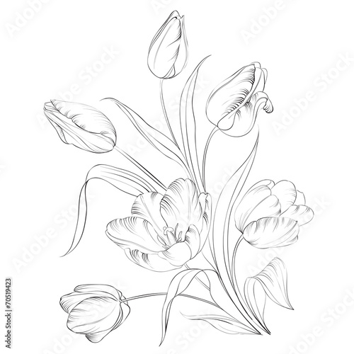 PrintHand drawn tulips.