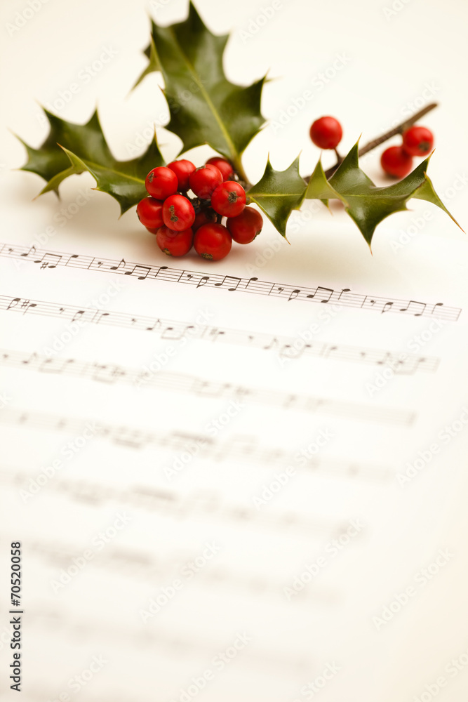 Photography Christmas carol
