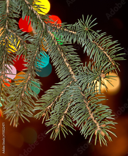 Christmas Tree © Václav Mach