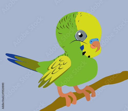 An Illustration of a green budgie