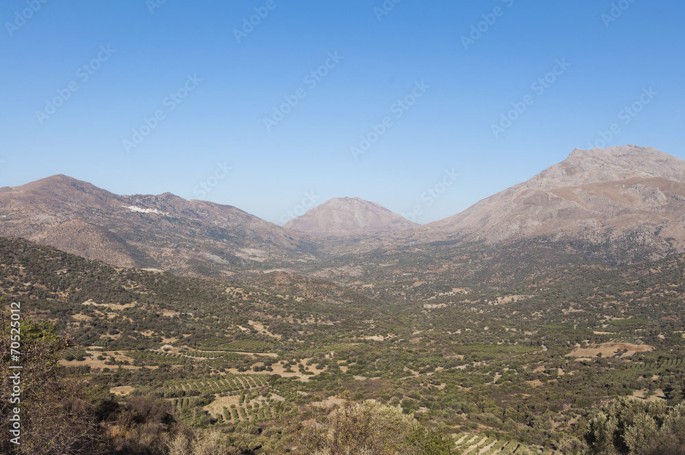 Landscape, Mountain and Olive Groves in south Crete