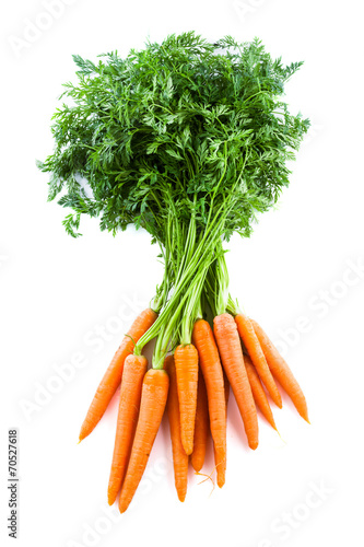 Bunch of fresh carrots with green tops. Isolated on a white.