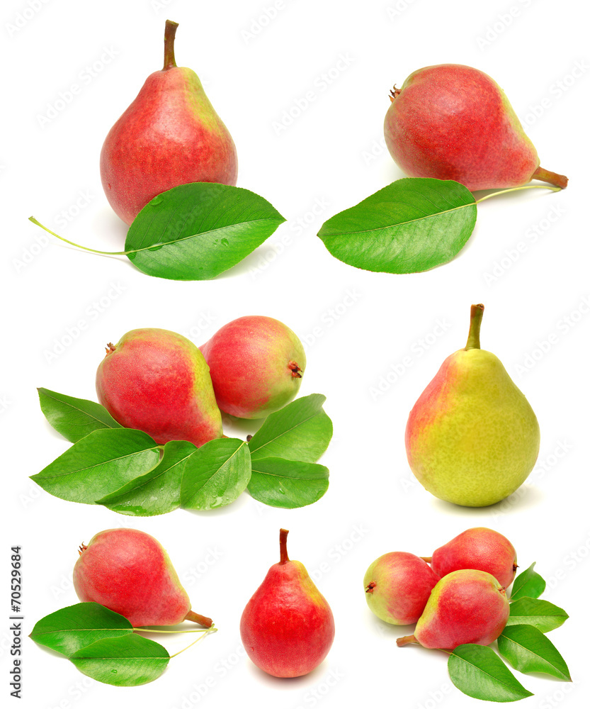 Collection of pears with leaves Collection of pears with leaves