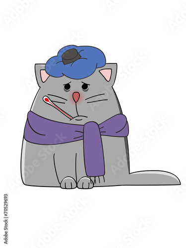 sick cat