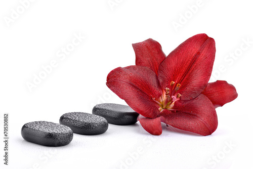 Czerwona lilia z kamieniami do spa
