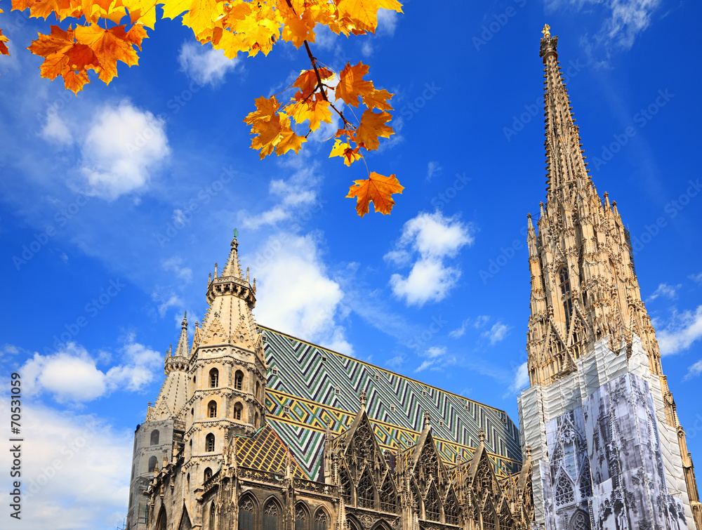 Fototapeta premium St. Stephan cathedral in Vienna