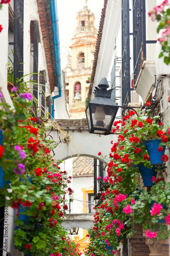 Famos Street Flowers decorated, Cordoba, Spain, Mediterranean Eu