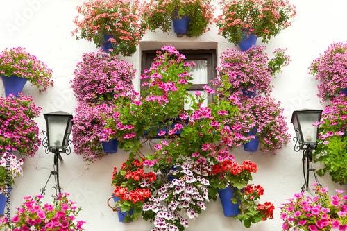 Typical Window decorated Pink and Red Flowers,  Spain, Mediterra photo
