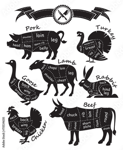 monochrome diagram guide for cutting meat