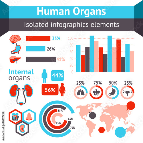 Human organs infographic