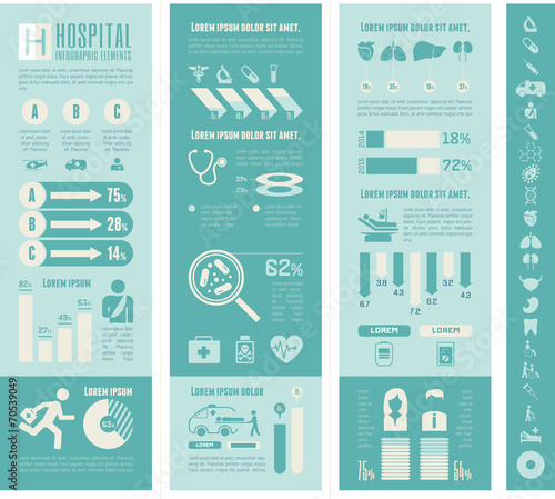 Maternity Infographic Template.