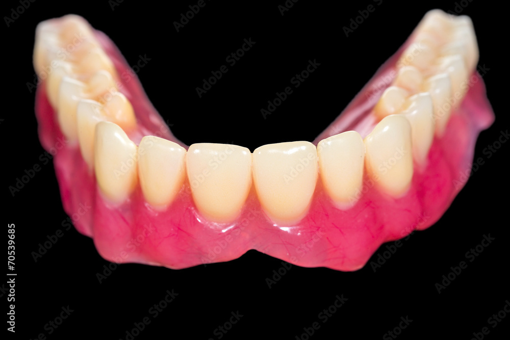 Fototapeta premium Lower denture