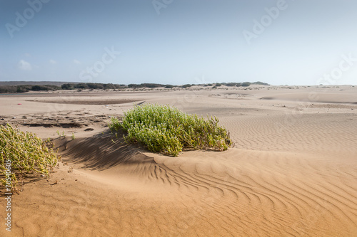 Souss Masa National Park