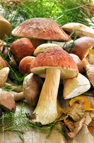 Fresh mushrooms on wooden table