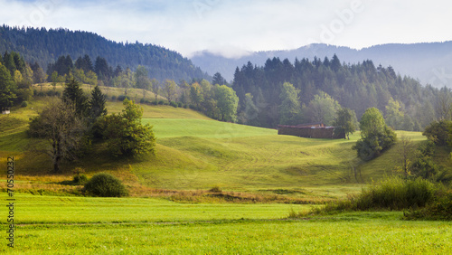 Alpejska łąka w jesiennej scenerii