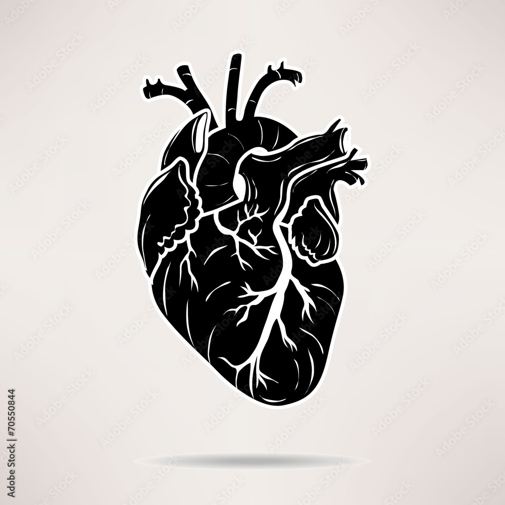 Naklejka premium Icon Body heart icon. On the white background. Vector