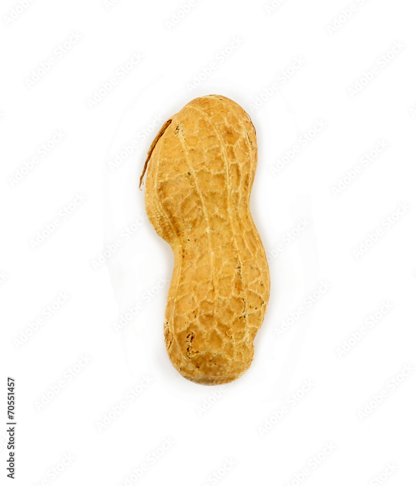Single raw groundnut isolated on white background. Single raw groundnut isolated on white background.