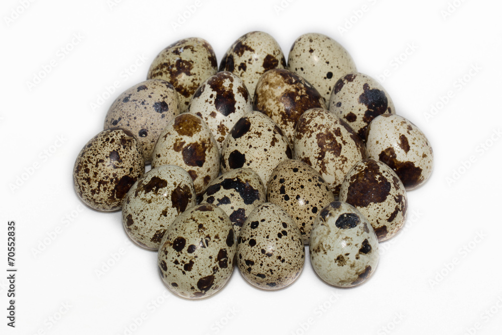 Obraz premium яйца