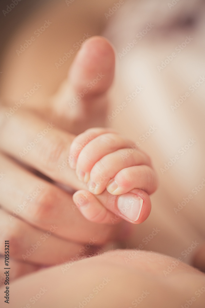 Baby hand gently holding adult's finger Baby hand gently holding adult's finger