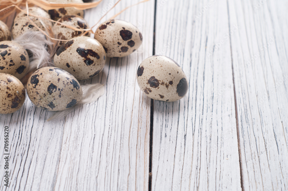 quail eggs quail eggs